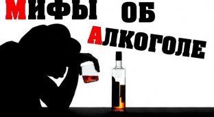 Мифы об алкоголе (11 фото)
