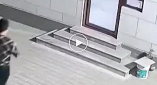 What happens if a dog flies through the door at full speed
