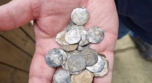 Британський шукач скарбів знайшов древні монети вартість в 200 000 фунтів стерлінгів (5 фото)