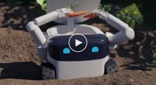 Robot gardener Willow-X will help at their summer cottage