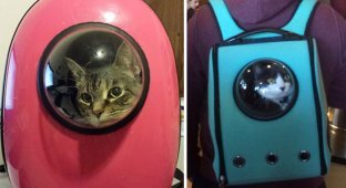 Рюкзак-переноска с иллюминатором, который позволит коту почувствовать себя космонавтом (6 фото)