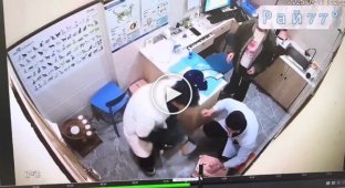 Кот неожиданно напал на ветеринара