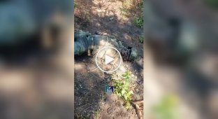 Soldiers of the 36th Marine Brigade removed the corpses of Russian invaders in the middle of the forest