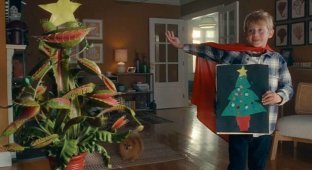Кумедний ролик про хлопчика, якому дісталося незвичайне новорічне дерево (3 фото + 1 відео)
