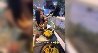 Кошка проучила девушку, дразнившую ее макаронами в ресторане