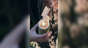 Как в древнем Китае изготавливали кисти