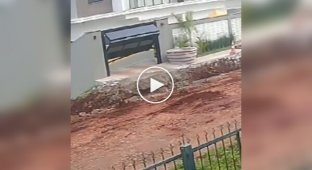 When you leave the house once every six months