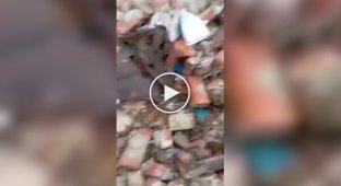 An occupier-looter worries about stolen property
