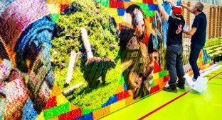 The world's largest Lego mural was assembled in Switzerland (3 photos + 1 video) (video)