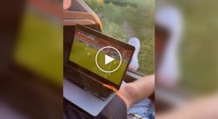 Хлопець зіпсував ідилію