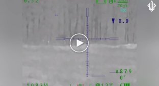 Snipers destroy an enemy reconnaissance group in the Kharkov direction