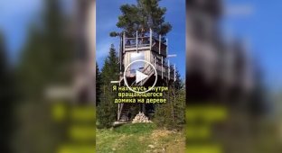 Вращающийся домик на дереве посреди леса