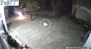 A dog unpleasantly surprised residents of a Chinese city