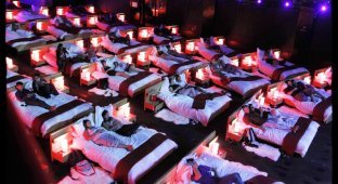 Кинотеатр с кроватями (10 фото)