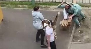 В Новочеркасске собака напала на женщину на детской площадке