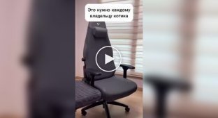 Computer chair with a stand for cats