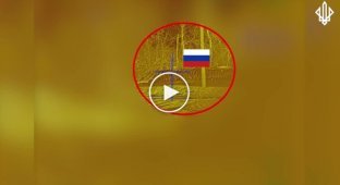 Снайперы бригады Спартан ликвидировали российских захватчиков на Покровском направлении