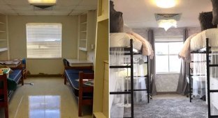 Вот как девушки обустроили комнату в общежитии за 10 часов (11 фото)