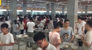 В Китае детей заставили стоять, чтоб ели быстрее (6 фото + 1 видео)