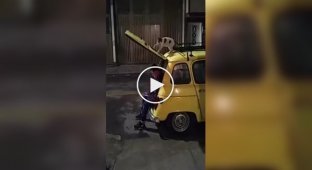 Покушение кота на человека попало на видео