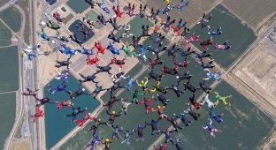 Skydivers over 60 made a snowflake figure in the air and became record holders (3 photos + 1 video)