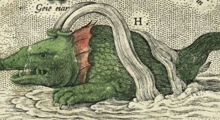 Учёные раскрыли происхождение древнего морского чудовища из скандинавских рукописей (3 фото + 1 видео)