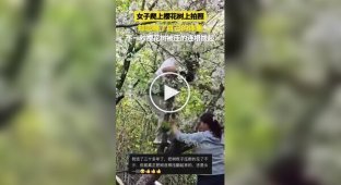 Женщина уронила дерево в шанхайском парке