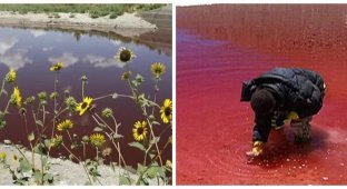 Texas phenomenon: the mystery of the red waters of the O.K. reservoir Fisher (7 photos)