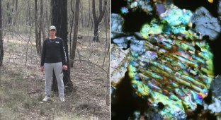 A man with a metal detector found a “stone” more expensive than gold (5 photos)