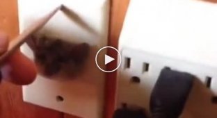 Спасательная операция