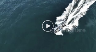 Рыбаки врезались в кита