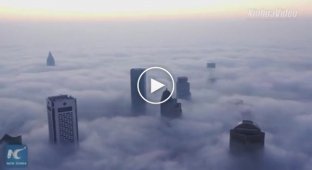 Как выглядит город, в котором видимость упала до 50 метров из-за густого тумана