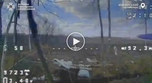 Border guards eliminated ten occupiers and destroyed a communications antenna near Vovchansk