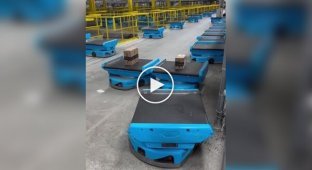 A meeting of two robots in a warehouse