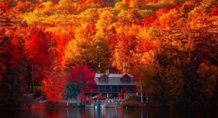 A selection of photos of golden autumn (28 photos + video)