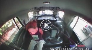 В США девушка угнала полицейский автомобиль
