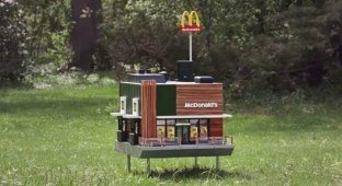 McDonald's открыли миниатюрный ресторан для пчёл (16 фото + 1 видео)