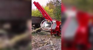 Special apparatus for creating firewood from wood