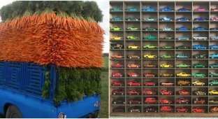 30 examples of perfectly organized things (31 photos)