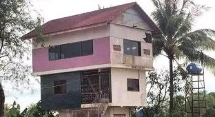 “Repair School”: a selection of funny fails from would-be architects (18 photos)