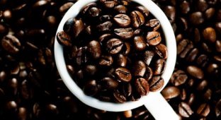 Почему полезно пить кофе