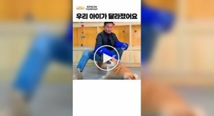 A trainer showed how an aggressive dog was controlled
