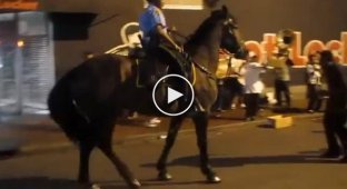 Танцующий конь из конной полиции США