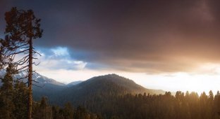 Национальный парк «Секвойя» в Калифорнии (24 фото)