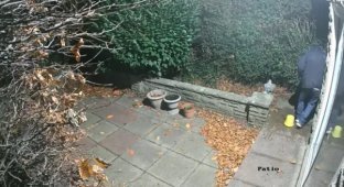 Грабитель попался в ловушку в стиле "Один дома" (2 фото + 1 видео)