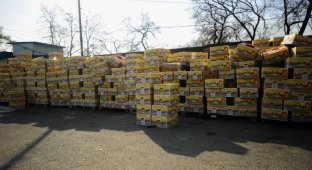Предприниматель во Владивостоке бесплатно раздал бананы всем желающим (2 фото)