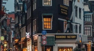 Картинки из старого города в Амстердаме (9 фото)
