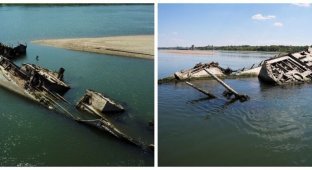 Обмелевший Дунай обнажил десятки затонувших немецких кораблей (6 фото + 1 видео)
