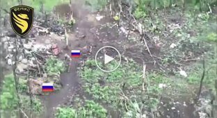 Сили оборони знищили БТР, пункт управління БПЛА, вантажівка, засоби зв'язку, укриття та блокпост росіян