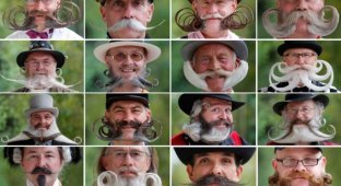 Конкурс усов и бород во Франции (14 фото)